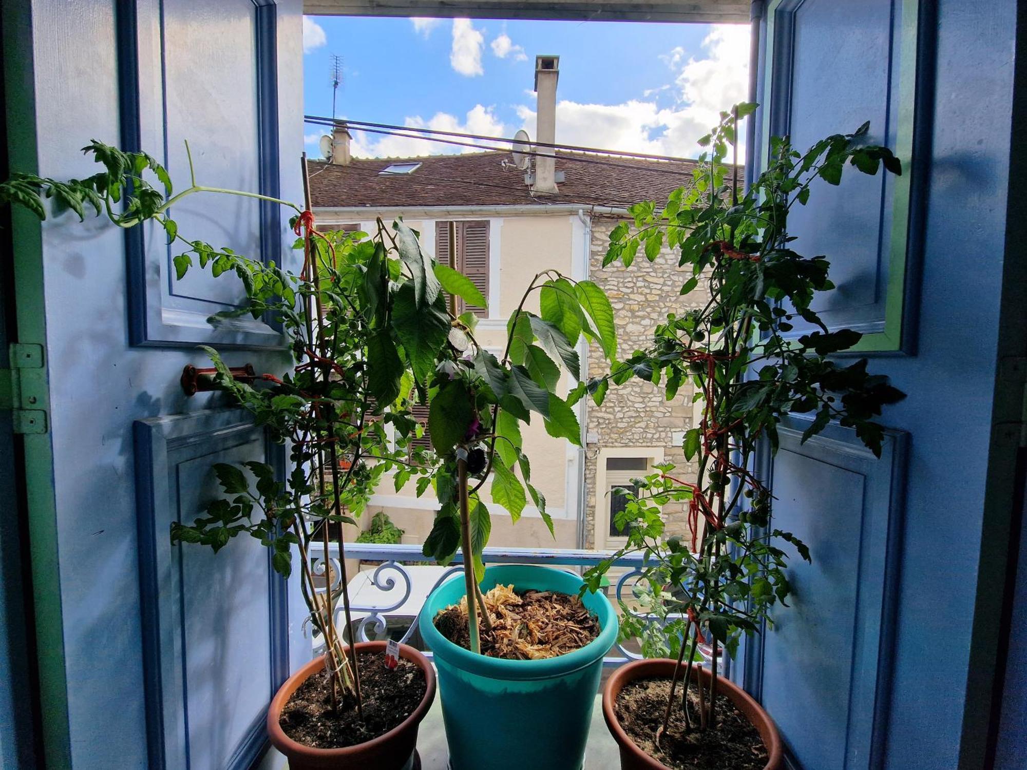 Chez Mamichou Apartment Moret sur Loing Bagian luar foto